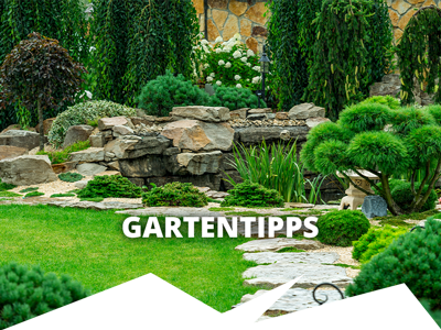 Gartentipps